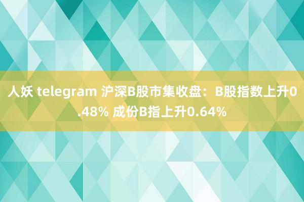 人妖 telegram 沪深B股市集收盘：B股指数上升0.48% 成份B指上升0.64%