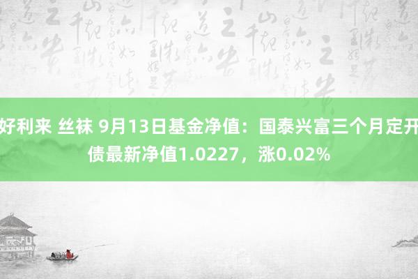 好利来 丝袜 9月13日基金净值：国泰兴富三个月定开债最新净值1.0227，涨0.02%