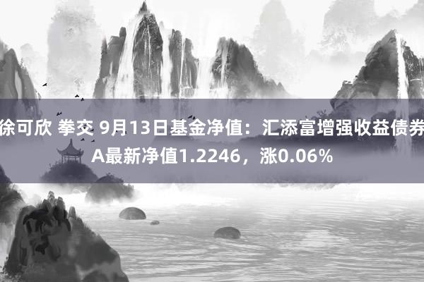 徐可欣 拳交 9月13日基金净值：汇添富增强收益债券A最新净值1.2246，涨0.06%