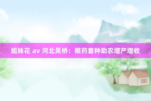 姐妹花 av 河北吴桥：粮药套种助农增产增收