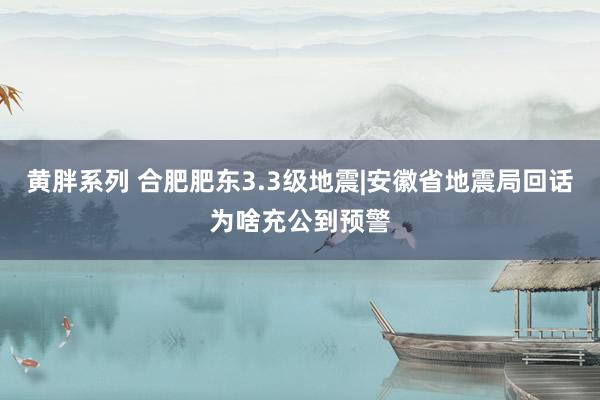 黄胖系列 合肥肥东3.3级地震|安徽省地震局回话为啥充公到预警