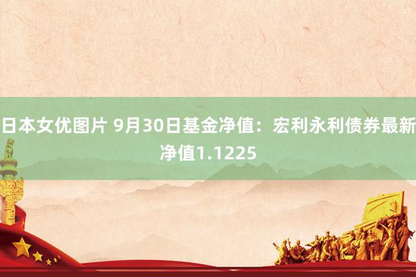 日本女优图片 9月30日基金净值：宏利永利债券最新净值1.1225