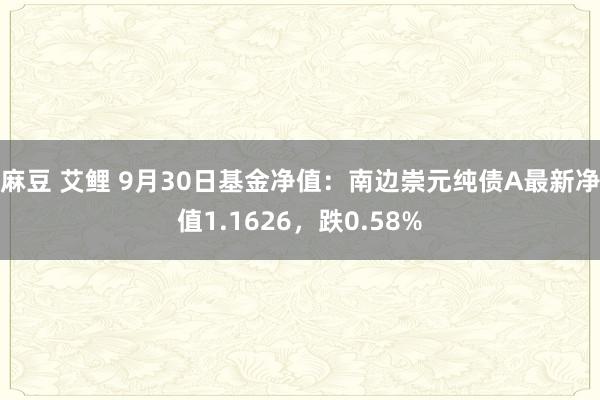 麻豆 艾鲤 9月30日基金净值：南边崇元纯债A最新净值1.1626，跌0.58%