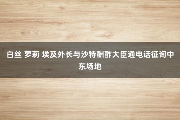 白丝 萝莉 埃及外长与沙特酬酢大臣通电话征询中东场地