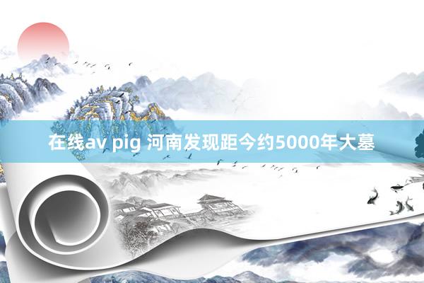 在线av pig 河南发现距今约5000年大墓