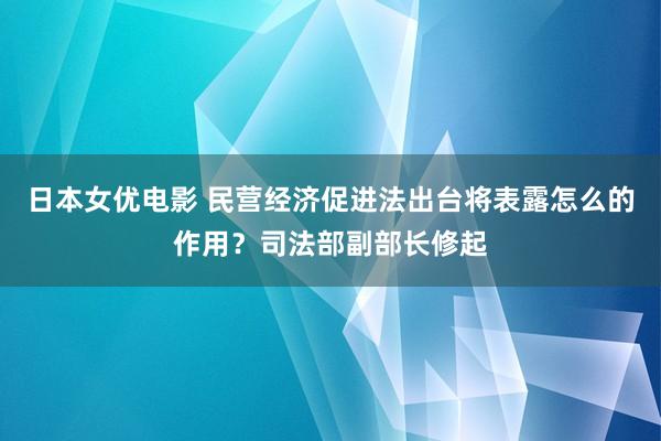 日本女优电影 民营经济促进法出台将表露怎么的作用？司法部副部长修起