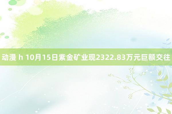 动漫 h 10月15日紫金矿业现2322.83万元巨额交往