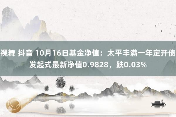 裸舞 抖音 10月16日基金净值：太平丰满一年定开债发起式最新净值0.9828，跌0.03%