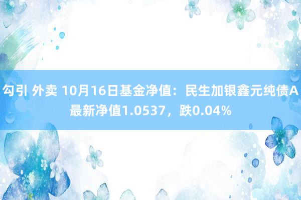 勾引 外卖 10月16日基金净值：民生加银鑫元纯债A最新净值1.0537，跌0.04%