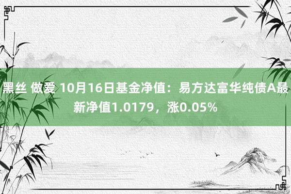 黑丝 做爱 10月16日基金净值：易方达富华纯债A最新净值1.0179，涨0.05%