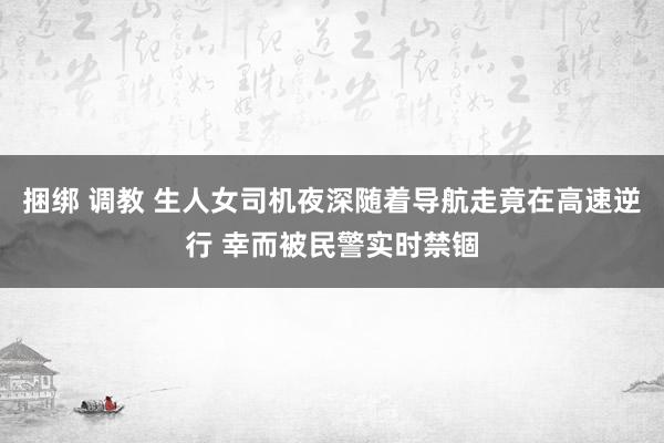 捆绑 调教 生人女司机夜深随着导航走竟在高速逆行 幸而被民警实时禁锢