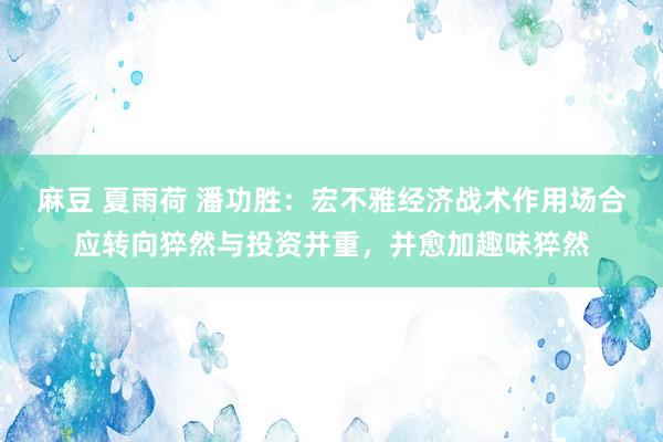 麻豆 夏雨荷 潘功胜：宏不雅经济战术作用场合应转向猝然与投资并重，并愈加趣味猝然