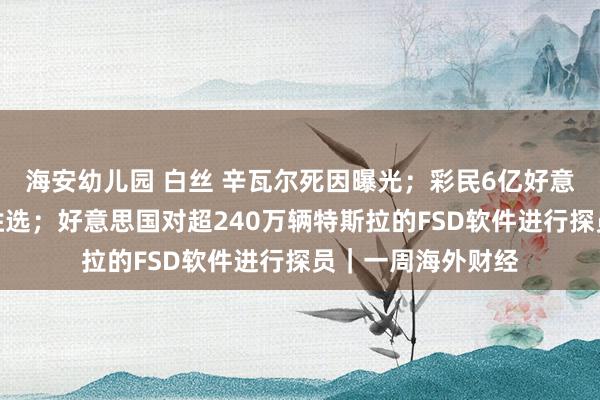 海安幼儿园 白丝 辛瓦尔死因曝光；彩民6亿好意思元押注特朗普胜选；好意思国对超240万辆特斯拉的FSD软件进行探员｜一周海外财经