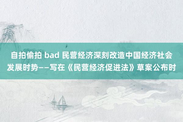 自拍偷拍 bad 民营经济深刻改造中国经济社会发展时势——写在《民营经济促进法》草案公布时