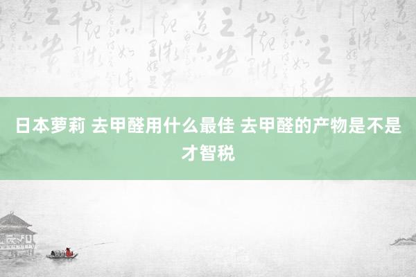 日本萝莉 去甲醛用什么最佳 去甲醛的产物是不是才智税