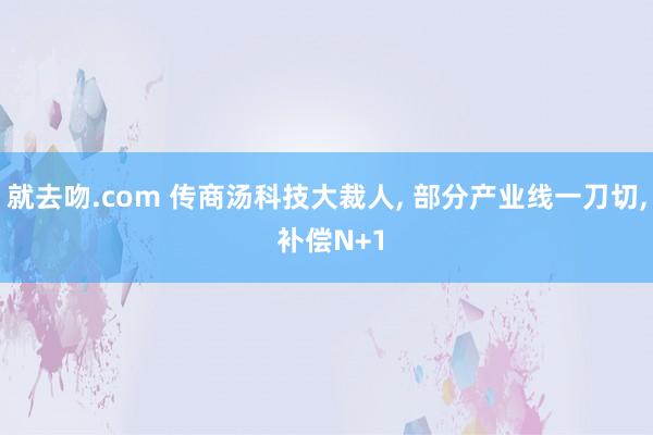 就去吻.com 传商汤科技大裁人， 部分产业线一刀切， 补偿N+1