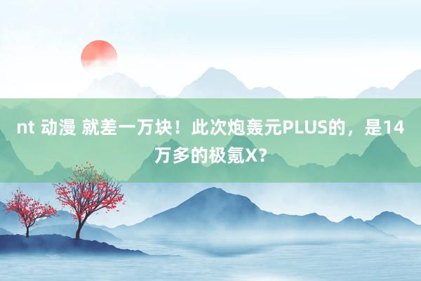 nt 动漫 就差一万块！此次炮轰元PLUS的，是14万多的极氪X？