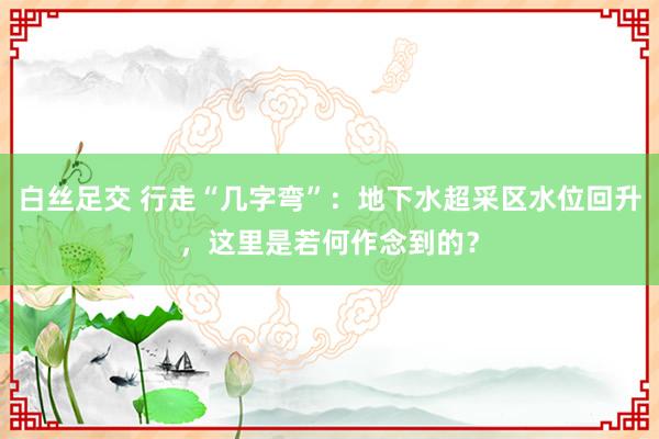 白丝足交 行走“几字弯”：地下水超采区水位回升，这里是若何作念到的？