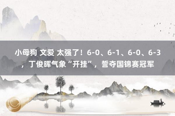 小母狗 文爱 太强了！6-0、6-1、6-0、6-3，丁俊晖气象“开挂”，誓夺国锦赛冠军