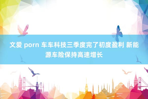 文爱 porn 车车科技三季度完了初度盈利 新能源车险保持高速增长