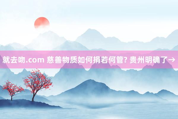 就去吻.com 慈善物质如何捐若何管? 贵州明确了→