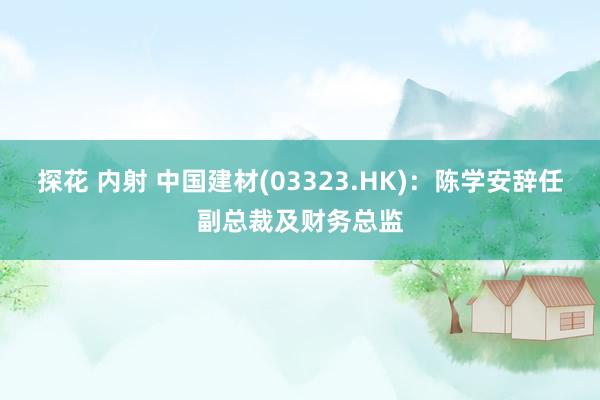 探花 内射 中国建材(03323.HK)：陈学安辞任副总裁及财务总监