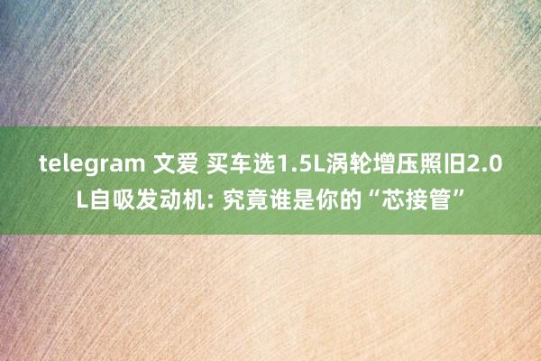 telegram 文爱 买车选1.5L涡轮增压照旧2.0L自吸发动机: 究竟谁是你的“芯接管”