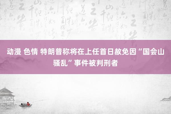 动漫 色情 特朗普称将在上任首日赦免因“国会山骚乱”事件被判刑者