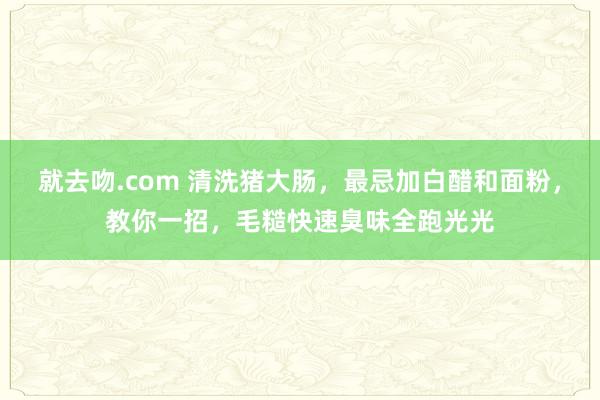 就去吻.com 清洗猪大肠，最忌加白醋和面粉，教你一招，毛糙快速臭味全跑光光