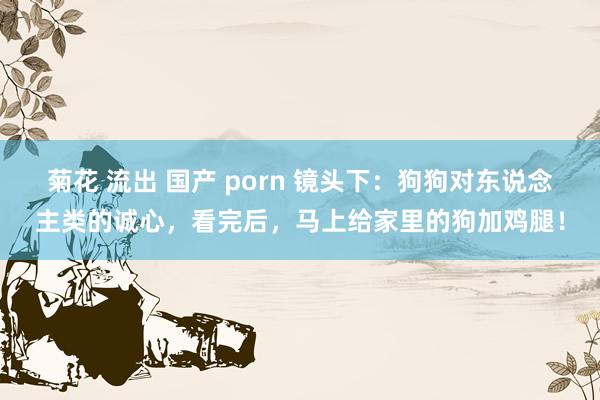 菊花 流出 国产 porn 镜头下：狗狗对东说念主类的诚心，看完后，马上给家里的狗加鸡腿！