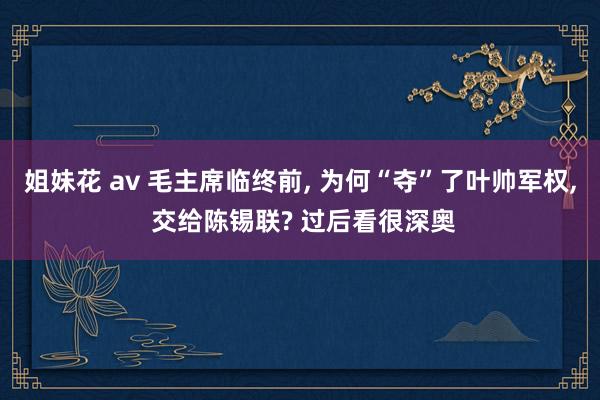 姐妹花 av 毛主席临终前， 为何“夺”了叶帅军权， 交给陈锡联? 过后看很深奥