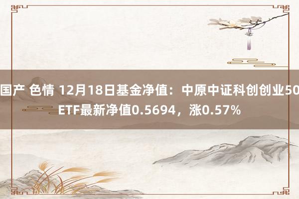 国产 色情 12月18日基金净值：中原中证科创创业50ETF最新净值0.5694，涨0.57%