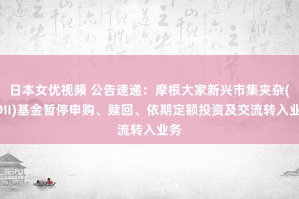 日本女优视频 公告速递：摩根大家新兴市集夹杂(QDII)基金暂停申购、赎回、依期定额投资及交流转入业务