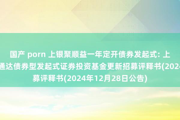 国产 porn 上银聚顺益一年定开债券发起式: 上银聚顺益一年依期通达债券型发起式证券投资基金更新招募评释书(2024年12月28日公告)