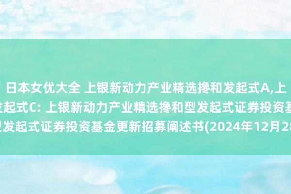 日本女优大全 上银新动力产业精选搀和发起式A，上银新动力产业精选搀和发起式C: 上银新动力产业精选搀和型发起式证券投资基金更新招募阐述书(2024年12月28日公告)