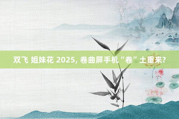 双飞 姐妹花 2025， 卷曲屏手机“卷”土重来?