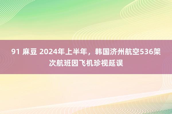 91 麻豆 2024年上半年，韩国济州航空536架次航班因飞机珍视延误