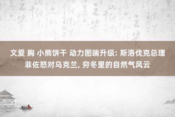 文爱 胸 小熊饼干 动力图端升级: 斯洛伐克总理菲佐怒对乌克兰， 穷冬里的自然气风云