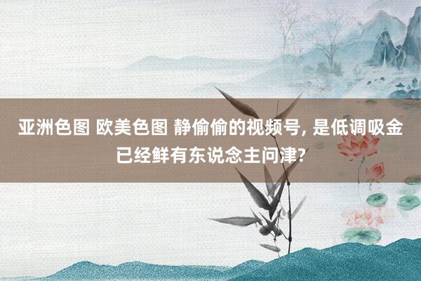 亚洲色图 欧美色图 静偷偷的视频号， 是低调吸金已经鲜有东说念主问津?