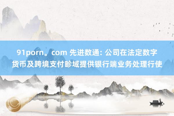 91porn。com 先进数通: 公司在法定数字货币及跨境支付畛域提供银行端业务处理行使